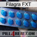 Filagra FXT viagra1